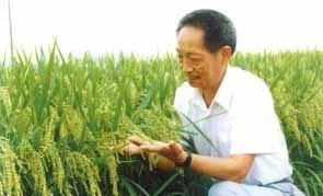 A Double Blessing Descended upon CAE Member Yuan Longping     First Hybrid Rice Conference Held in Changsha; Wen and Jia Sent Birthday Congratulation Letters