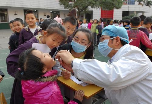 The dentists do the oral health examination for the primary students free