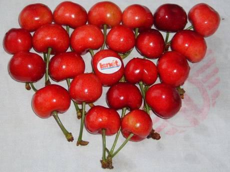 Chinese cherry hits the market