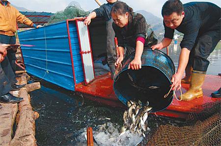 Yangtze's ecological imbalance