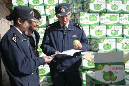 Convenient Clearance Services Provides for Xinjiang Fresh Fruits   with photo