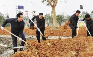 Shaoxing leaders to participated in the yearly tree planting activity