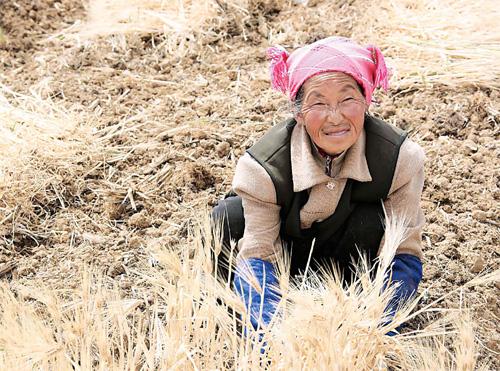 No crops, no money, no food as Yunnan waits for rainfall