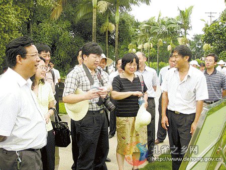 Academic experts guide Dehong's development