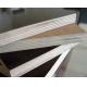 factory price 18mm film faced plywood poplar/birch plywood