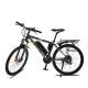 Lithium Battery Pedal Assist Electric Bike 50km/h Aluminum Magnesium Alloy