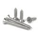 Ss304 Self Tapping Screws Stainless Steel Self Tapping Screws