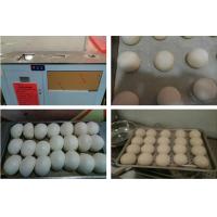 Steamed bun forming machine,round dough ball forming machine