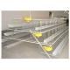 Hot Galvanized Automatic Wire Chicken Cages For Growing Broilers And Pullets
