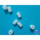 Wholesale of precision 0.5M plastic worm gear for DC motor with various length