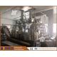 300 Kg/h Liquid Coater Peanut Coating Machine For Nuts Bean Coating