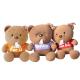BOC-HAVE A NICE DAY Plush Tissure holder, paper pumping tray bear toy
