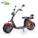 EcoRider Fat Tire 2 Wheel Electric Bicycle , On Off Road Eletric Scooter With Remote