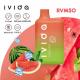 10.5ml E Liquid 5000 Puffs Vape Disposable Watermelon Ice Flavour
