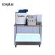 Sea Food Cooling  Ice Maker Machine In Supermarket Low Consumption