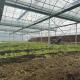 30 Day Return Refunds for Water Pipe Agricultural System in Commercial Greenhouses