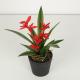 Indoor Decoration Artificial 23 CM Agave Bonsai With Flower