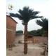 UVG PTR017 ornamental fake coconut tree price with real bark for theme park decoration