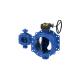 Blue Arch Shape High Performance Butterfly Valves Ductile Iron GSJ500-7