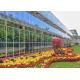 Modern Design Agriculture Plant Greenhouse Strong Wind Pressure Resistance