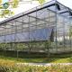 120km/H Agricultural 9.6m Multi Span Glass Greenhouses