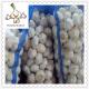 Chinese wholesale natural Fresh garlic for sale to importers