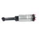 L320 Air Suspension Shock Absorber RNB501580 RNB501180 Land Rover Discovery 3/4