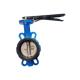 ANSI CF8 EPDM PTFE Strong Acid Ductile Iron Lever Opreated Wafer Lug Butterfly Valve