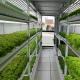 Multi-Span Agricultural Greenhouses 40ft Container Hydroponic Vertical Farming System