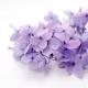 Home decoration soft touch natural preserved hydrangea
