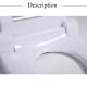 ABS Resin Bidet Self Cleaning Toilet Seat Automatic Dry Warm Water Washing