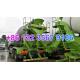 8CBM 9CBM 10 CBM HOWO Chassis 6x4 HJS5256GJBHA Cement Mixer Truck For Peru