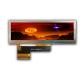 Bar Shape 500 Nits IPS LCD Display 3.9in Full Color Tft Screen