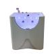 ODM Pet SPA Bathtub For Dog Grooming Acrylic Material 10 Lamp Beads
