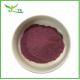 Water Soluble 25% Anthocyanins Black Elderberry Fruit Extract Powder Elderberry Powder