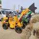 1 Ton 2 Ton 3 Ton Diesel Compact Small Wheel Loader Hydraulic Front End Mini Loader