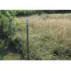 Rust Resistance PVC Coated /Galvanized Barbed Wire Coils Fence