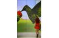 Hummingbird & flowers: Lisbon Fashion Week continues