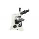 Infinity Plan Objective Science Lab Microscope 22mm FOV Eyepiece 30° Viewing Head