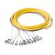 Fiber Optic Pigtail 12 core trunk cable type pigtail