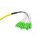 850nm 1300nm Bundle SM Fiber Optic Pigtail 8 Core SC APC Pigtail