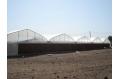 China: IGreen see a rising demand for greenhouses