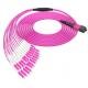 24F MTP OM4 Fiber Optic MTP-LC 2.0mm Straight harness Cables