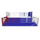 Customized Size Boxing Training Equipment Floor Boxing Ring Ground Style