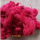 2.5Dtex*51mm Solid Bright Red Recycled color polyester staple fiber for Filling Material, Non-Woven Fabric, Spinning
