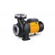 0.8 HP 0.6KW Single Impeller Water Pump , Industrial Centrifugal Pumps NFM Series