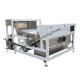 Mineral Grades and Separator Sorting Machine Mineral Stone CCD Color Sorter