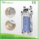 Europe popular 4handles cryolipolysis slimming machine