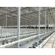 Large Size Commercial Hydroponic Greenhouse With Soilless Cultivation