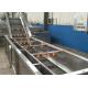 Fruit Vegetable Washing Equipment For Beef Tripe Prickly Pear Cherry Tomato